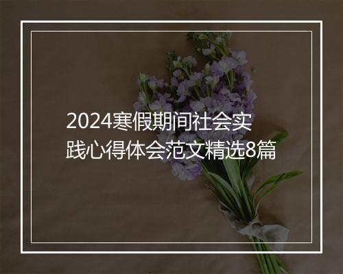 2024寒假期间社会实践心得体会范文精选8篇