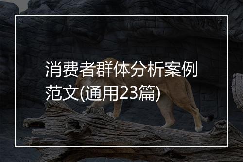 消费者群体分析案例范文(通用23篇)