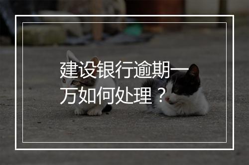 建设银行逾期一万如何处理？