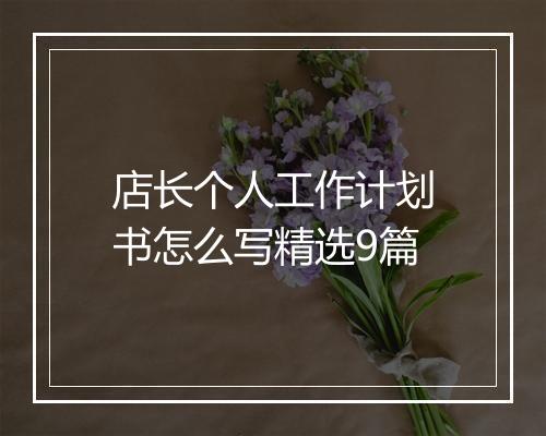 店长个人工作计划书怎么写精选9篇