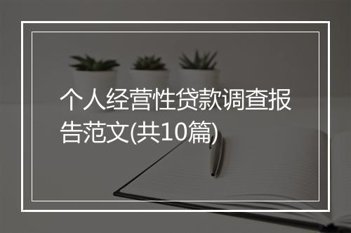 个人经营性贷款调查报告范文(共10篇)