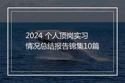 2024 个人顶岗实习情况总结报告锦集10篇