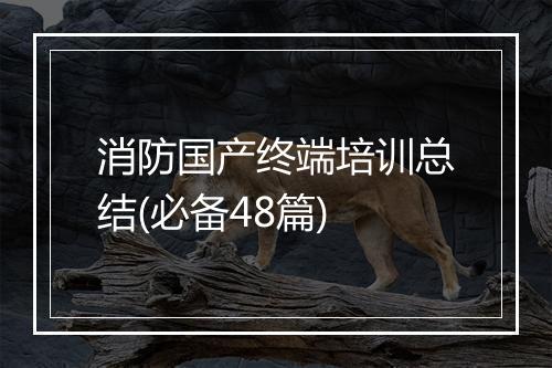 消防国产终端培训总结(必备48篇)