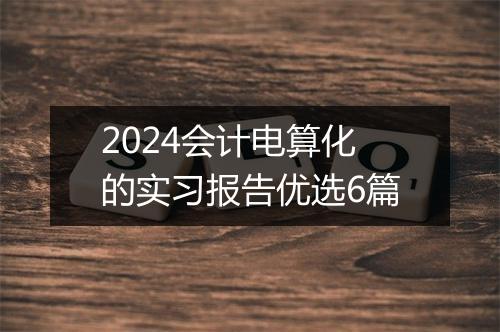 2024会计电算化的实习报告优选6篇
