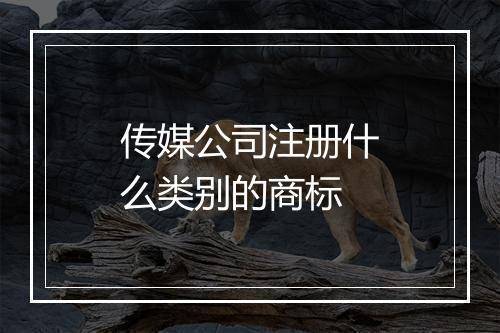 传媒公司注册什么类别的商标