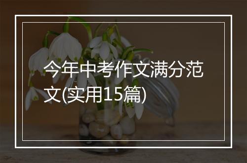 今年中考作文满分范文(实用15篇)