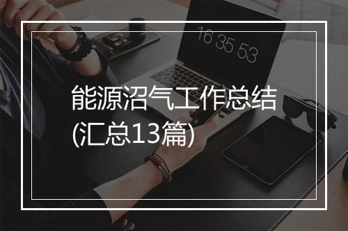 能源沼气工作总结(汇总13篇)