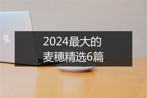 2024最大的麦穗精选6篇