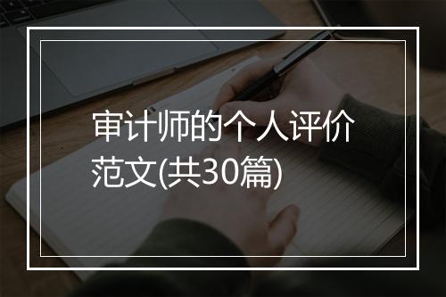 审计师的个人评价范文(共30篇)