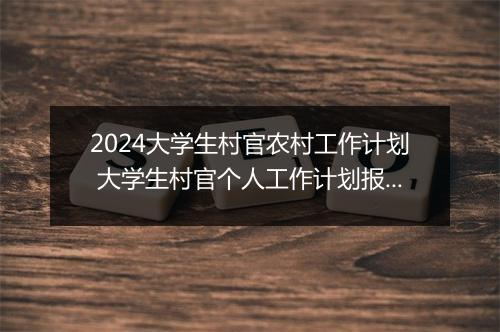 2024大学生村官农村工作计划 大学生村官个人工作计划报告细选10篇