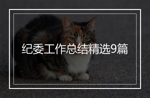 纪委工作总结精选9篇