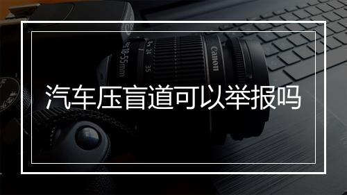 汽车压盲道可以举报吗