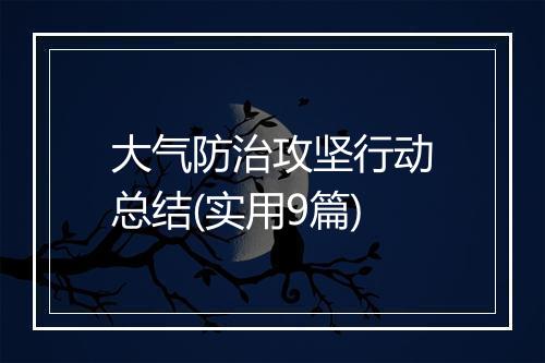 大气防治攻坚行动总结(实用9篇)
