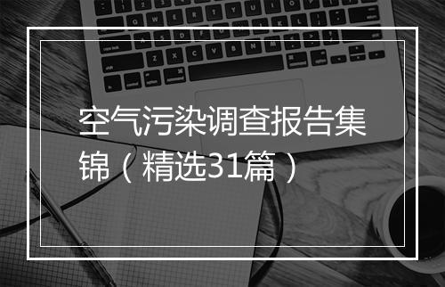 空气污染调查报告集锦（精选31篇）