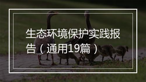 生态环境保护实践报告（通用19篇）
