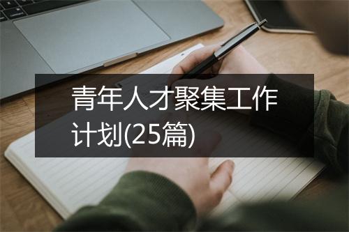 青年人才聚集工作计划(25篇)