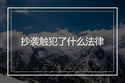 抄袭触犯了什么法律