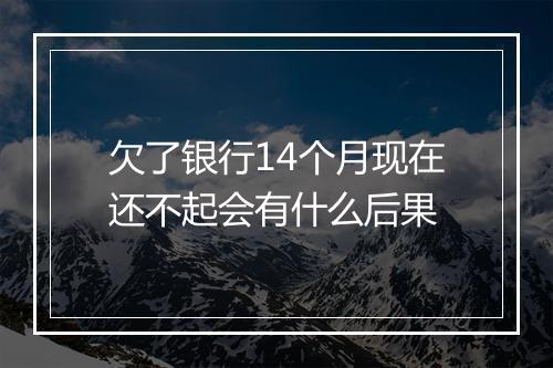欠了银行14个月现在还不起会有什么后果