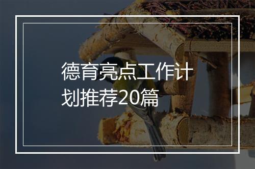 德育亮点工作计划推荐20篇