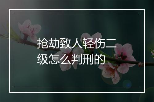 抢劫致人轻伤二级怎么判刑的
