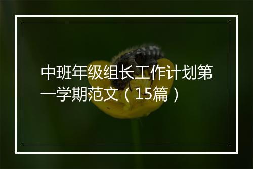 中班年级组长工作计划第一学期范文（15篇）