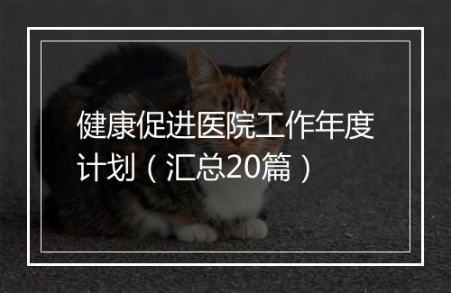 健康促进医院工作年度计划（汇总20篇）