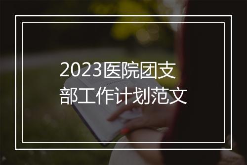 2023医院团支部工作计划范文
