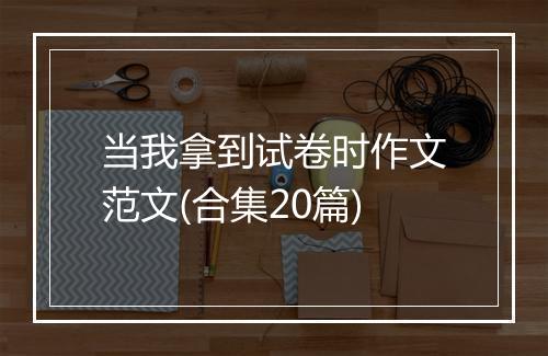 当我拿到试卷时作文范文(合集20篇)