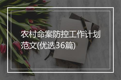 农村命案防控工作计划范文(优选36篇)