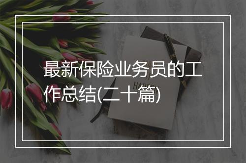 最新保险业务员的工作总结(二十篇)