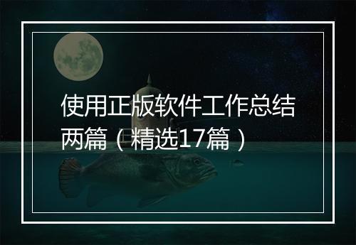 使用正版软件工作总结两篇（精选17篇）