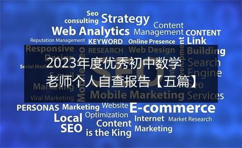 2023年度优秀初中数学老师个人自查报告【五篇】