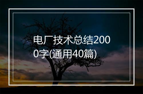 电厂技术总结2000字(通用40篇)