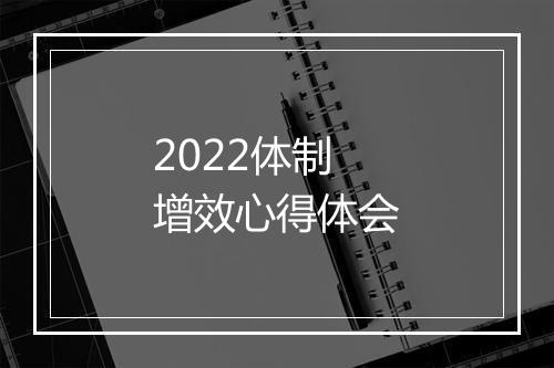 2022体制增效心得体会