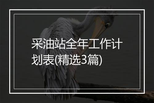 采油站全年工作计划表(精选3篇)