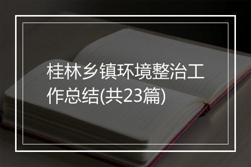 桂林乡镇环境整治工作总结(共23篇)