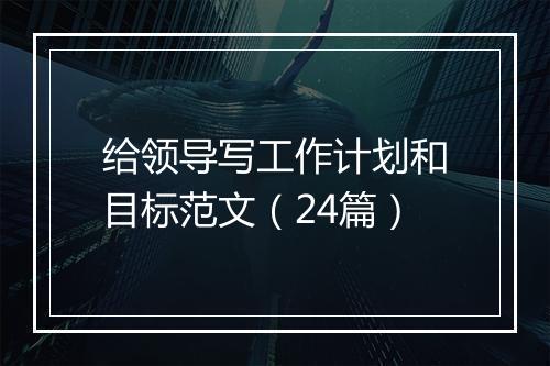 给领导写工作计划和目标范文（24篇）