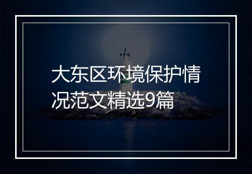 大东区环境保护情况范文精选9篇