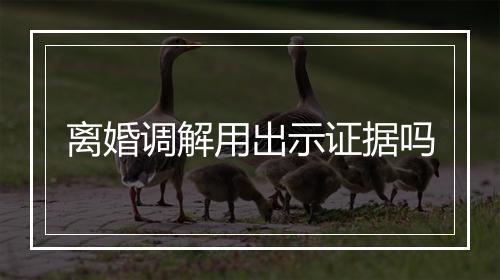 离婚调解用出示证据吗