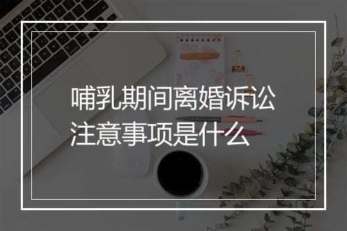 哺乳期间离婚诉讼注意事项是什么