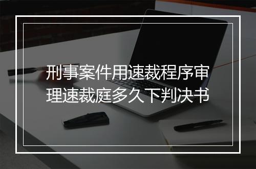 刑事案件用速裁程序审理速裁庭多久下判决书