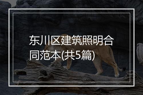 东川区建筑照明合同范本(共5篇)