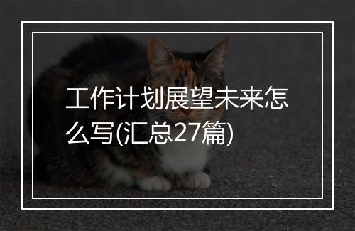 工作计划展望未来怎么写(汇总27篇)