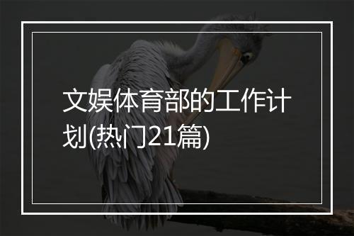 文娱体育部的工作计划(热门21篇)