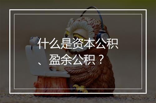什么是资本公积、盈余公积？