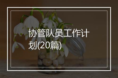 协管队员工作计划(20篇)