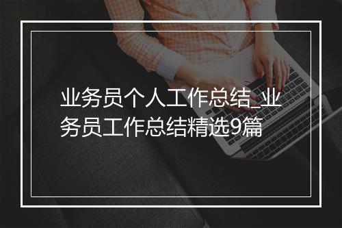 业务员个人工作总结_业务员工作总结精选9篇