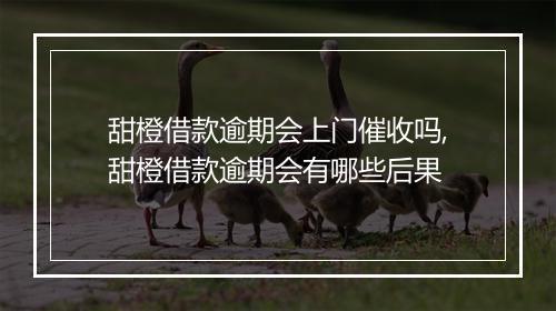 甜橙借款逾期会上门催收吗,甜橙借款逾期会有哪些后果