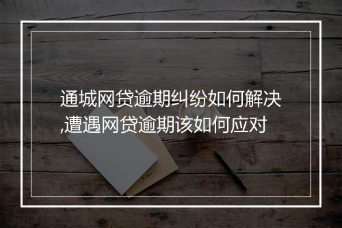 通城网贷逾期纠纷如何解决,遭遇网贷逾期该如何应对