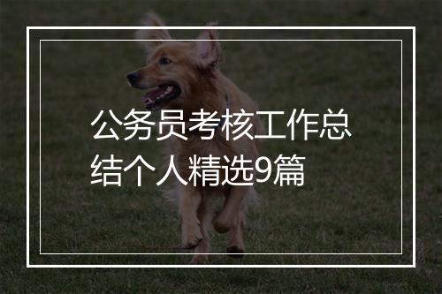 公务员考核工作总结个人精选9篇